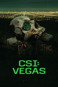 CSI: Vegas Season 1 poster